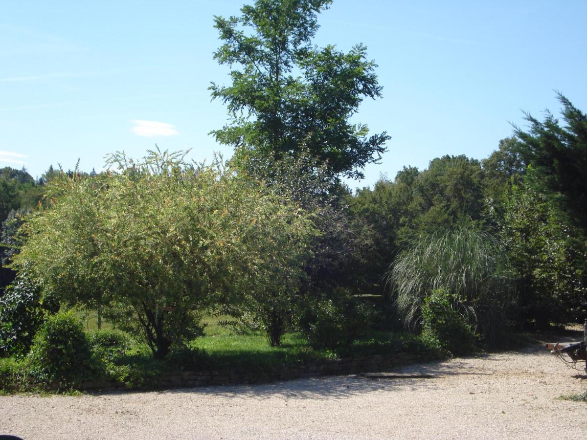 L'Oree Des Bois Dommartin-Les-Cuiseaux Ngoại thất bức ảnh